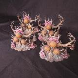 Age of Sigmar - Maggotkin of Nurgle - Painted Feculent Gnarlmaw Terrain