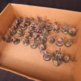 Age of Sigmar - Maggotkin of Nurgle - Painted Blightking and Character Collection