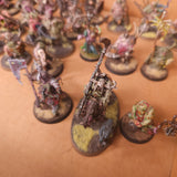 Age of Sigmar - Maggotkin of Nurgle - Painted Blightking and Character Collection