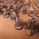 Age of Sigmar - Maggotkin of Nurgle - Painted Blightking and Character Collection