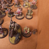 Age of Sigmar - Maggotkin of Nurgle - Painted Blightking and Character Collection