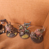 Age of Sigmar - Maggotkin of Nurgle - Painted Blightking and Character Collection