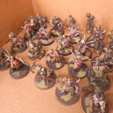 Age of Sigmar - Maggotkin of Nurgle - Painted Blightking and Character Collection