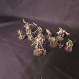 Age of Sigmar / Warcry - Maggotkin of Nurgle - Painted Rotmire Creed