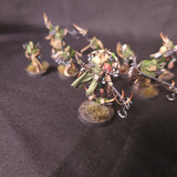 Age of Sigmar / Warcry - Maggotkin of Nurgle - Painted Rotmire Creed