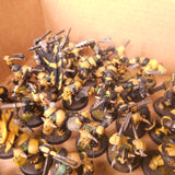 Age of Sigmar / The Old World - Ironjawz / Orc & Goblin Tribes - Painted Ardboy and Black Orc Infantry