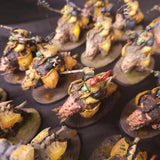 Age of Sigmar - Ironjawz - Painted Gore-grunta Cavalry