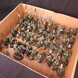 Age of Sigmar / The Old World - Bonesplitterz / Orc & Goblin Tribes - Painted Savage Orc Boar Riders