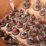 Age of Sigmar - Kruleboyz - Painted Infantry and Ranged Support