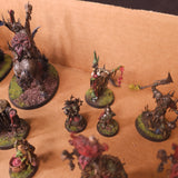 Age of Sigmar - Kruleboyz - Painted Mounted and Foot Heroes