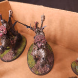 Age of Sigmar - Kruleboyz - Painted Mounted and Foot Heroes