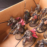 Age of Sigmar - Slaves to Darkness - Painted Knights, Varanguard and Mounted Lords