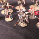 Age of Sigmar - Slaves to Darkness - Painted Converted Warshrine and Character Collection