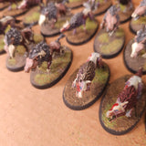 Age of Sigmar / The Old World - Soulblight Gravelords / Vampire Counts - Painted Older Dire Wolves