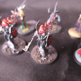 Age of Sigmar / The Old World - Soulblight Gravelords / Vampire Counts - Painted Vampire and Necromancer Characters
