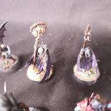 Age of Sigmar / The Old World - Soulblight Gravelords / Vampire Counts - Painted Vampire and Necromancer Characters