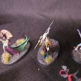 Age of Sigmar / The Old World - Soulblight Gravelords / Vampire Counts - Painted Vampire and Necromancer Characters