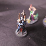 Age of Sigmar / The Old World - Soulblight Gravelords / Vampire Counts - Painted Vampire and Necromancer Characters