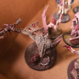 Age of Sigmar - Soulblight Gravelords and Flesh-eater Courts - Painted Mixed Winged Death Creatures