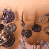 Age of Sigmar - Soulblight Gravelords and Flesh-eater Courts - Painted Mixed Winged Death Creatures