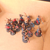 Warcry - Scions of the Flame and Khainite Shadowstalkers - Painted Collection