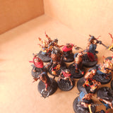 Warcry - Scions of the Flame and Khainite Shadowstalkers - Painted Collection