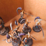 Warcry - Cypher Lords - High Quality Painted Warband