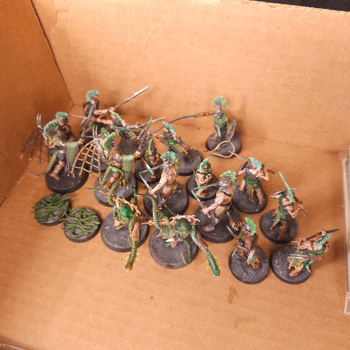 Warcry - Splintered Fang - High Quality Painted Warband Collection