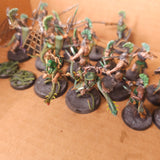 Warcry - Splintered Fang - High Quality Painted Warband Collection