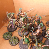 Warcry - Splintered Fang - High Quality Painted Warband Collection