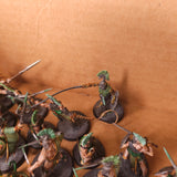 Warcry - Splintered Fang - High Quality Painted Warband Collection