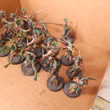 Warcry - Splintered Fang - High Quality Painted Warband Collection