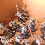 Warcry - Untamed Beasts - High Quality Painted Warband Collection