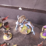 Warhammer Quest: Cursed City - Heroes and Undead - Painted Collection and Game Components