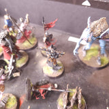 Warhammer Quest: Cursed City - Heroes and Undead - Painted Collection and Game Components