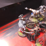 Warhammer Quest: Cursed City - Heroes and Undead - Painted Collection and Game Components