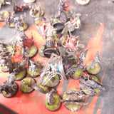 Warhammer Quest: Cursed City - Heroes and Undead - Painted Collection and Game Components