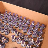 Emperor's Children L012 — detail or alternate view 9