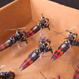 Harlequins L042 — detail or alternate view 4
