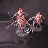 Hedonites of Slaanesh L044 — whole-lot overview