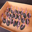 Hedonites of Slaanesh L050 — whole-lot overview
