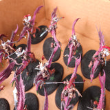 Hedonites of Slaanesh L050 — detail or alternate view 5