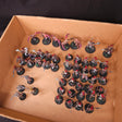 Hedonites of Slaanesh L053 — whole-lot overview