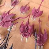 Painted Screamers and Herald Chariot - detail 2