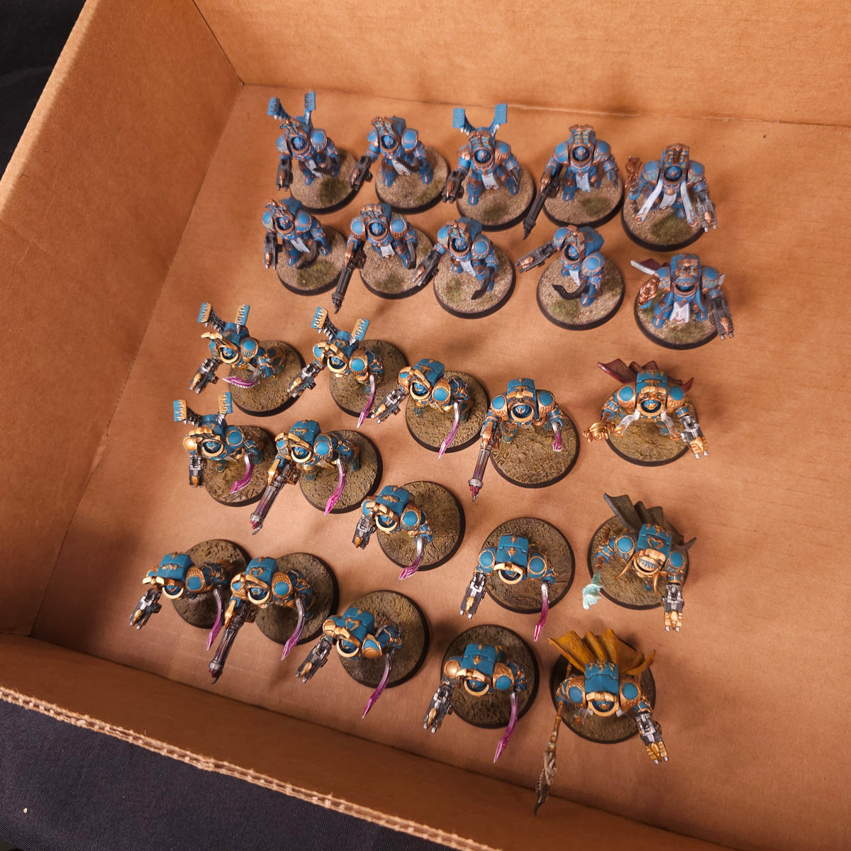 Painted Scarab Occult Terminators - full lot