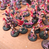 Painted Daemonette Infantry Force - detail 1