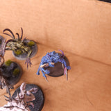 Painted Chaos Spawn - Mixed Mutations Lot 2 - detail 4