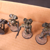 Painted Nurgle-Themed Raptors and Warp Talons - detail 7