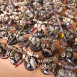 Plague Marines - Large Classic Collection - photograph 2, alternate view or detail