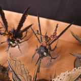 Plague Drones of Nurgle - photograph 4, alternate view or detail